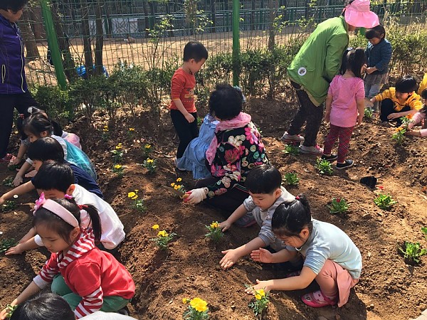 꽃을 심고 땅을 토닥토닥